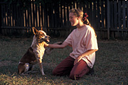 People, child, children, puberty, Teenager, Teenagers, Teenage girl, Teenage girls, fence, fences, dog, dogs, domestic, domestic dog, domestic dogs, pet, pets, adolescent, adolescents, garden, gardens, children and animals, children with animals, people and animals, people with animals, animal, animals.