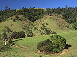 Australia, New South Wales, Gloucester, hill, hills, rolling hill, rolling hills, green hill, green hills, Bucketts Mountains, barrington tops, great dividing range, World Heritage site, World heritage sites.