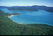 Australia, qld, queensland, happy bay, long island, long island np, long island national park, national park, national parks, rainforest, rainforests, forest, forests.