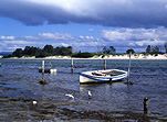 Australia, New South Wales, Forster, wallis, Wallis Lake, Lake, Lakes, water, watercraft, row boat, row boats, rowboat, rowboats, rowingboat, rowingboats, rowing boat, rowing boats, boat, boats, boating, moored boat, moored boats, cloud, clouds, great lakes, great lakes district.