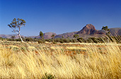 Australia, Australian, Australian desert, Australian deserts, northern territory, nt, peterman, peterman ranges, desert, deserts, desert scenes, great victoria, great victoria desert, outback, australian outback, outback australia.