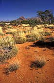 Australia, Australian, Australian desert, Australian deserts, northern territory, nt, peterman, peterman ranges, desert, deserts, desert scenes, great victoria, great victoria desert, outback, australian outback, outback australia, grass, grasses, vegetation, spinifex, spinifex grass, triodia.