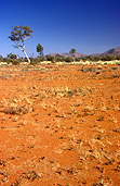 Australia, Australian, Australian desert, Australian deserts, northern territory, nt, peterman, peterman ranges, desert, deserts, desert scenes, great victoria, great victoria desert, outback, australian outback, outback australia.