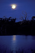 Moon, moons, the moon, full moon, full moons, circle, circles, moonrise, moonrises, sky, skies, sky scene, sky scenes, planet, planets, kakadu, kakadu np, kakadu national park, national park, national parks, terrestrial planet, night, nights, nightime, nightimes, tree, trees, water, NT, Northern Territory, Australia.