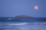Moon, moons, the moon, circle, circles, moonrise, moonrises, sky, skies, sky scene, sky scenes, planet, planets, terrestrial planet, terrestrial plants, island, islands, water, sea, seas, ocean, oceans, seascape, seascapes, coast, coasts, coastal, coastline, coastlines, wave, waves, blue sky, blue skies, Australia.