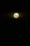 Moon, moons, the moon, full moon, full moons, circle, circles, moonrise, moonrises, sky, skies, sky scene, sky scenes, planet, planets, terrestrial planet, night, nights, nightime, nightimes.