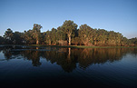 Australia, NT, Northern Territory, Billabong, Billabongs, reynolds, Reynolds River, River, rivers, water, water scene, water scenes, sky, skies, blue sky, blue skies.