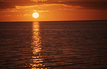 Sun, the sun, sunrise, sunrises, sunset, sunsets, sunrises and sunsets, circle, circles, sky, skies, sky scene, sky scenes, water, sea, seas, ocean, oceans, seascape, seascapes, Adelaide, SA, South Australia, Australia.
