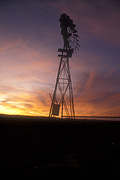 Farming, Farmland, farm, farms, Agriculture, Windmill, Windmills, power, outback, australian outback, outback australia, Australia, cloud, clouds, rural, rural scene, rural scenes, sunset, sunsets, sunrises and sunsets, quorn, SA, South Australia, Australia.