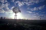 Farming, Farmland, farm, farms, Agriculture, eyre highway, nullarbor, nullarbor plains, eyre, highway, highways, Windmill, Windmills, basin, basins, anjutabie basin, power, outback, australian outback, outback australia, Australia, cloud, clouds, rural, rural scene, rural scenes, sunset, sunsets, sunrises and sunsets, penong, SA, South Australia, Australia.