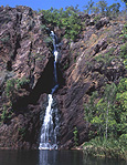 Australia, NT, Northern Territory, Litchfield, Litchfield NP, Litchfield National Park, Waterfall, Waterfalls, running water, water, wangi, wangi falls.