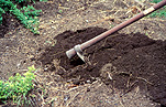 Garden, gardens, gardener, gardeners, gardening, tool, tools, garden tool, garden tools, hoe, garden hoe, garden hoes, soil.
