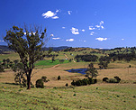 Australia, New South Wales, Gloucester, rural, rural scene, rural scenes, farming, farm land, farming land, Bucketts Mountains, barrington tops, great dividing range, World Heritage site, World heritage sites.