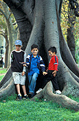 Australia, New South Wales, sydney, people, child, children, boy, boys, male, males, tree, tree, root, roots, tree root, tree roots, park, parks, friends, friend.