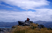 Pacific islands, new zealand, nz, akaroa, banks, banks peninsula, hiker, hikers, hiking, people.