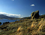 Australia, New South Wales, Jindabyne, Lake jindabyne, water, rock, rocks, lake, lakes.