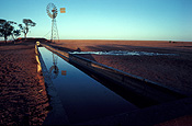 Australia, outback, australian outback, outback australia, windmill, windmills, trough, troughs, tibooburra, desert, deserts, nsw, new South Wales, cattle.