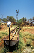 Australia, Australian, Australian desert, Australian deserts, western australia, wa, tanami, tanami desert, desert, deserts, desert scenes, windmill, windmills, bore, bores, bloodwood, bloodwood bore, outback, australian outback, outback australia, trough, troughs, cattle trough, cattle troughs, skull, skulls, bone, bones.