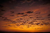 Australia, wa, western australia, Kimberley, kimberleys, the kimberleys, sunrise, sunrises, sunrises and sunsets, mood, mood scene, mood scenes, cloud, clouds.
