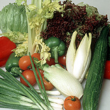 Vegetable, vegetables, lettuce, lettuces, tomato, tomatoes, onion, onions, spring onion, spring onions, cucumber, cucumbers, capsicum, capsicums, shallot, shallots, mixed, mixed vegetables.