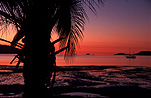 Australia, Queensland, Qld, Long Island, Long Island NP, Long Island National Park, beach, national parks, beaches, dusk, sunset, sunsets, sunrises and sunsets, palm, palms, palm tree, palm trees, silhouette, silhouettes, tide, tides, low tide, low tides.