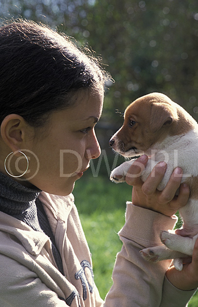 stock photo image: People, outdoors, child, Children, female, females, girl, girls, people and animals, children and animals, people with animals, children with animals, Animal, Animals, dog, dogs, mammal, mammals, placental mammal, placental mammals, carnivore, carnivores, pet, pets, domestic animal, domestic animals, domestic dog, domestic dogs, Australia, Sport pictures, Sports, balloon images, hot air balloons