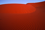 Australia, Australian, Australian desert, Australian deserts, desert, deserts, desert scenes, dune, dunes, sand, sand dune, sand dunes, outback, australian outback, outback australia, DFF, DFFDESERTS.