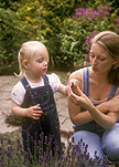 Parent, parents, parenting, parenthood, outdoors, Mother, Mothers, Women, people, woman, Female, Females, people, child, children, mother and child, mother and children, mother with child, mother with childrens, mothers with children, garden, gardens, gardening, people gardening, children gardening, AM04,
