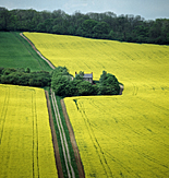 Europe, Western Europe, UK, Britain, British Isles, England, United Kingdom, Great Britain, farm, farms, housing, Farming, Farmland, farm, farms, Agriculture, Rural, Rural Scene, tree, trees, forest, forests, Rural Scenes, cottage, cottages, house, houses, housing, farm, farms, field, fields, paddock, paddocks, spring, springtime, spring time, rape, rape crop, rape crops, canola, oilseed, oil, seasons, four seasons, different seasons, changing seasons, seasonal changes.