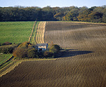 Europe, Western Europe, UK, Britain, British Isles, England, United Kingdom, Great Britain, Farming, Farmland, farm, farms, housing, Agriculture, Rural, Rural Scene, Rural Scenes, autumn scene, autumn scenes, cottage, cottages, house, houses, housing, farm, farms, field, fields, paddock, paddocks, autumn, autumn scene, autumn scenes, seasons, four seasons, different seasons, changing seasons, seasonal changes.