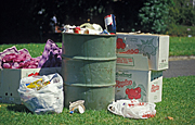 Bin, bins, rubbish, garbage, rubbish bin, rubbish bins, pollution, box, boxes, cardboard, paper, cardboard box, cardboard boxes, bag, bags, plastic, plastic bag, plastic bags, littered, litter, litters, littering.