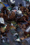 Pollute, polluted, Pollution, polluting, environment, environmental damage, water pollution, polluted water, polluted waterway, polluted waterways, rubbish, waste, can, cans, garbage, aluminium, aluminium can, aluminium cans, littered, litter, litters, littering.