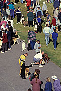Australia, sa, RSPCA, south australia, adelaide, elder park, torrens, torrens river, river torrens, charity, charities, dog, dogs, domestic, domestic dog, domestic dogs, million paws, million paws walk, people, crowd, crowds.