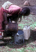 Asia, Asian, China, Chinese, Tibet, Tibetan, nomad, nomads, nomadic, bovine, bovines, bos, grunniens, bos grunniens, animal, animals, yak, yaks, milk, milks, milking, people, woman, women, bucket, buckets.