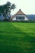 Architecture, farm, farms, house, houses, housing.