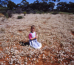 People, child, Children, girl, girls, female, females, flower, flowers, wild, wildflower, wildflowers, WA, Western Australia, Australia, outback, australian outback, outback australia, outdoors.