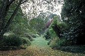 Australia, Victoria, Vic, Blackwood, garden, gardens, St Erth, Garden St Erth, Garden of St Erth, Macedon ranges, lawn, lawns, IS47,