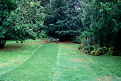 Australia, Victoria, Vic, Blackwood, garden, gardens, St Erth, Garden St Erth, Garden of St Erth, Macedon ranges, lawn, lawns, IS47,