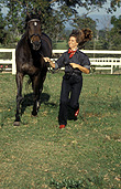 Animal, animals, horse, horses, australia, woman, women, outdoors, female, females, exercise, exercises, exercising, people, bridle, bridles, run, runs, running, runner, runners.