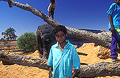 Australia, Anmatyerr, anmatyerr country, community, communities, australian, australian people, people, school, schools, educate, educates, education, Child, Children, boy, boys, male, males, male, males, aborigine, aborigines, aboriginal, aboriginals, aboriginal people, aboriginal child, aboriginal children, aborigine people, aborigine child, aborigine children, indigenous, indigenous people, indigenous child, indigenous children, Yuelamu, Yuelamu community, Mt Allan, Mount Allan, Northern Territory, NT, Australia.