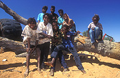 Australia, Anmatyerr, anmatyerr country, community, communities, australian, australian people, people, school, schools, educate, educates, education, Child, Children, boy, boys, male, males, male, males, aborigine, aborigines, aboriginal, aboriginals, aboriginal people, aboriginal child, aboriginal children, aborigine people, aborigine child, aborigine children, indigenous, indigenous people, indigenous child, indigenous children, Yuelamu, Yuelamu community, Mt Allan, Mount Allan, Northern Territory, NT, Australia.
