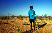 Australia, Anmatyerr, anmatyerr country, community, communities, australian, australian people, people, child, children, puberty, school, schools, educate, educates, education, Child, Children, boy, boys, male, males, male, males, aborigine, aborigines, aboriginal, aboriginals, aboriginal people, aboriginal child, aboriginal children, aborigine people, aborigine child, aborigine children, indigenous, indigenous people, indigenous child, indigenous children, Yuelamu, Yuelamu community, Mt Allan, Mount Allan, Northern Territory, NT, Australia, adolescent, adolescents, teenager, teenagers, teenage boy, teenage boys.