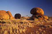 Australia, NT, Northern Territory, vegetation, wauchope, stuart, stuart highway, Devils Marbles, Devils Marbles Conservation Reserve, boulder, boulders, rock, rocks, granite, granite boulder, granite boulders, devil's marbles.