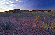 Climate, weather, drought, drought scene, drought scenes, mud, crack, cracks, cracked, cracked mud, natural disasters, northern territory, NT, Australia, dried mud, outback, australian outback, outback australia.