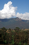 Australia, New South Wales, pinnacle, the pinnacle, border ranges, great dividing range, border ranges NP, border ranges national park, national parks, forest, forests, cloud, clouds.