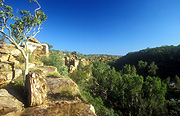 Australia, wa, western australia, kimberley, kimberleys, the kimberleys, gibb, gibb river, gibb river road, road, roads, outback, australian outback, outback australia, manning, manning gorge, gorge, gorges, rock, rocks.