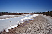 Australia, Australian, Australian desert, Australian deserts, Desert, deserts, desert scenes, ephemeral, Australian deserts, WA, Western Australia, Australia, gibson, Gibson Desert, australian outback, outback australia, dry lake, dry lakes, lake, lakes, lake disappointment, evaporation, salt lake, salt lakes, salt.