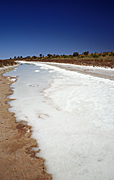 Australia, Australian, Australian desert, Australian deserts, Desert, deserts, desert scenes, ephemeral, Australian deserts, WA, Western Australia, Australia, gibson, Gibson Desert, australian outback, outback australia, dry lake, dry lakes, lake, lakes, lake disappointment, evaporation, salt lake, salt lakes, salt.