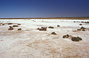 Australia, Australian, Australian desert, Australian deserts, Desert, deserts, desert scenes, ephemeral, Australian deserts, WA, Western Australia, Australia, gibson, Gibson Desert, australian outback, outback australia, dry lake, dry lakes, lake, lakes, lake disappointment, evaporation, salt lake, salt lakes, salt.