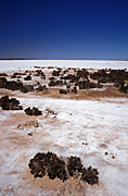 Australia, Australian, Australian desert, Australian deserts, Desert, deserts, desert scenes, ephemeral, Australian deserts, WA, Western Australia, Australia, gibson, Gibson Desert, australian outback, outback australia, dry lake, dry lakes, lake, lakes, lake disappointment, evaporation, salt lake, salt lakes, salt.